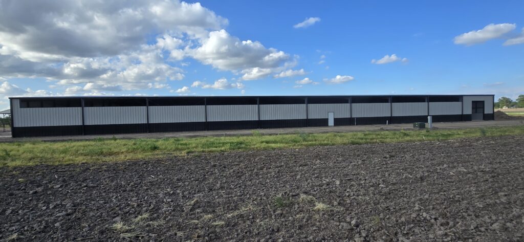 Metal Cattle Barn