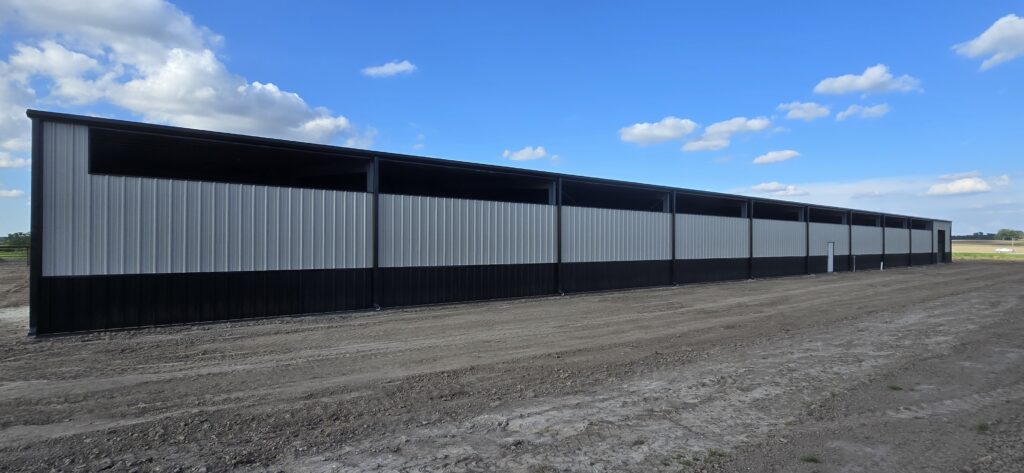 Metal Cattle Barn